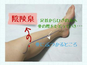 陰陵泉