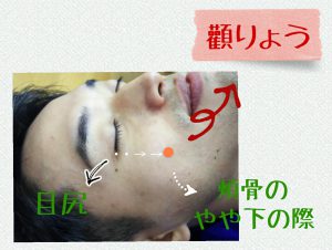 顴りょう