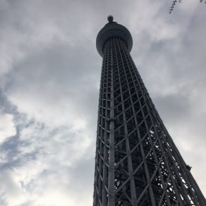 IMG_6151